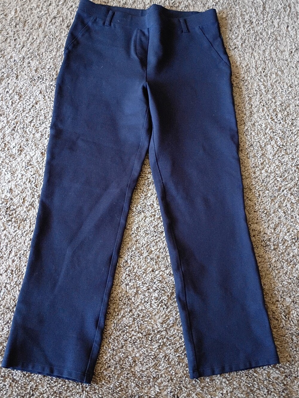 Quince Woman's Navy Dress Pants